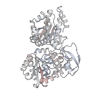 34403_8gzu_t1_v1-0
Cryo-EM structure of Tetrahymena thermophila respiratory Megacomplex MC (IV2+I+III2+II)2