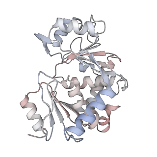 34403_8gzu_t2_v1-0
Cryo-EM structure of Tetrahymena thermophila respiratory Megacomplex MC (IV2+I+III2+II)2