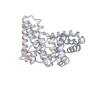 34403_8gzu_t3_v1-0
Cryo-EM structure of Tetrahymena thermophila respiratory Megacomplex MC (IV2+I+III2+II)2