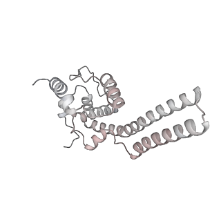 34403_8gzu_t4_v1-0
Cryo-EM structure of Tetrahymena thermophila respiratory Megacomplex MC (IV2+I+III2+II)2