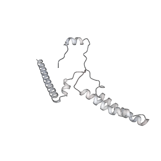34403_8gzu_t5_v1-0
Cryo-EM structure of Tetrahymena thermophila respiratory Megacomplex MC (IV2+I+III2+II)2