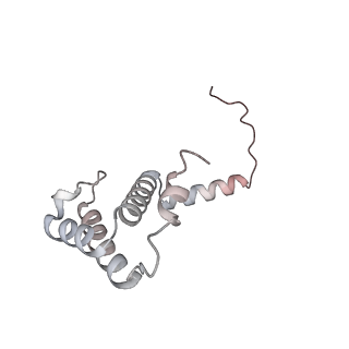 34403_8gzu_t6_v1-0
Cryo-EM structure of Tetrahymena thermophila respiratory Megacomplex MC (IV2+I+III2+II)2