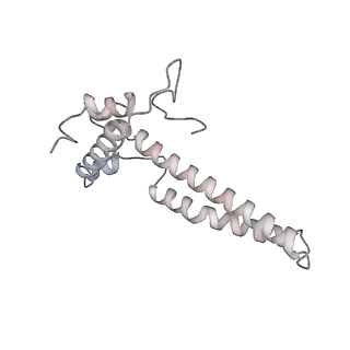 34403_8gzu_t7_v1-0
Cryo-EM structure of Tetrahymena thermophila respiratory Megacomplex MC (IV2+I+III2+II)2