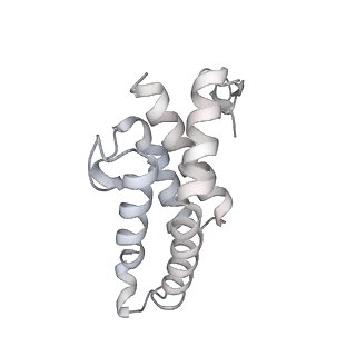 34403_8gzu_t9_v1-0
Cryo-EM structure of Tetrahymena thermophila respiratory Megacomplex MC (IV2+I+III2+II)2
