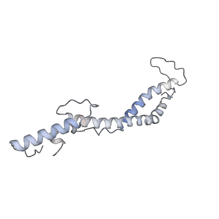 34403_8gzu_t_v1-0
Cryo-EM structure of Tetrahymena thermophila respiratory Megacomplex MC (IV2+I+III2+II)2
