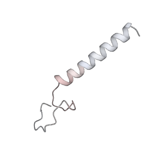 34403_8gzu_te_v1-0
Cryo-EM structure of Tetrahymena thermophila respiratory Megacomplex MC (IV2+I+III2+II)2