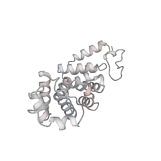 34403_8gzu_tf_v1-0
Cryo-EM structure of Tetrahymena thermophila respiratory Megacomplex MC (IV2+I+III2+II)2