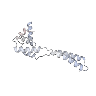 34403_8gzu_tg_v1-0
Cryo-EM structure of Tetrahymena thermophila respiratory Megacomplex MC (IV2+I+III2+II)2