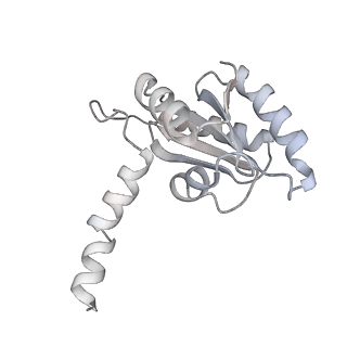 34403_8gzu_tx_v1-0
Cryo-EM structure of Tetrahymena thermophila respiratory Megacomplex MC (IV2+I+III2+II)2