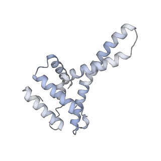 34403_8gzu_u_v1-0
Cryo-EM structure of Tetrahymena thermophila respiratory Megacomplex MC (IV2+I+III2+II)2