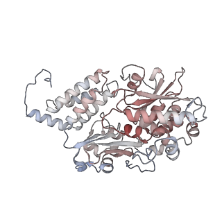 34403_8gzu_v1_v1-0
Cryo-EM structure of Tetrahymena thermophila respiratory Megacomplex MC (IV2+I+III2+II)2