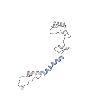 34403_8gzu_v_v1-0
Cryo-EM structure of Tetrahymena thermophila respiratory Megacomplex MC (IV2+I+III2+II)2