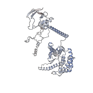34403_8gzu_vb_v1-0
Cryo-EM structure of Tetrahymena thermophila respiratory Megacomplex MC (IV2+I+III2+II)2