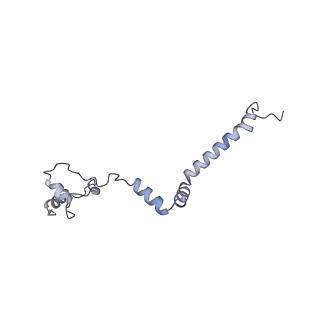 34403_8gzu_w_v1-0
Cryo-EM structure of Tetrahymena thermophila respiratory Megacomplex MC (IV2+I+III2+II)2
