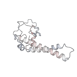 34403_8gzu_x1_v1-0
Cryo-EM structure of Tetrahymena thermophila respiratory Megacomplex MC (IV2+I+III2+II)2