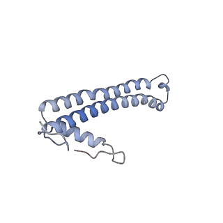 34403_8gzu_x_v1-0
Cryo-EM structure of Tetrahymena thermophila respiratory Megacomplex MC (IV2+I+III2+II)2