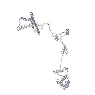 34403_8gzu_y7_v1-0
Cryo-EM structure of Tetrahymena thermophila respiratory Megacomplex MC (IV2+I+III2+II)2