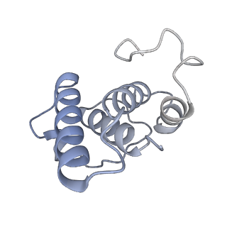 34403_8gzu_y_v1-0
Cryo-EM structure of Tetrahymena thermophila respiratory Megacomplex MC (IV2+I+III2+II)2