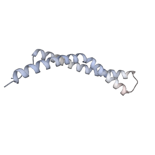 34403_8gzu_z1_v1-0
Cryo-EM structure of Tetrahymena thermophila respiratory Megacomplex MC (IV2+I+III2+II)2