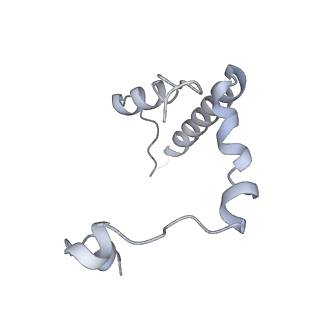 34403_8gzu_z_v1-0
Cryo-EM structure of Tetrahymena thermophila respiratory Megacomplex MC (IV2+I+III2+II)2