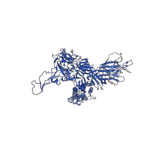 34407_8h00_A_v1-0
SARS-CoV-2 Omicron BA.1 Spike glycoprotein in complex with rabbit monoclonal antibody 1H1 Fab in the class 1 conformation