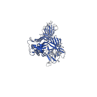34408_8h01_A_v1-0
SARS-CoV-2 Omicron BA.1 Spike glycoprotein in complex with rabbit monoclonal antibody 1H1 Fab in class 2 conformation