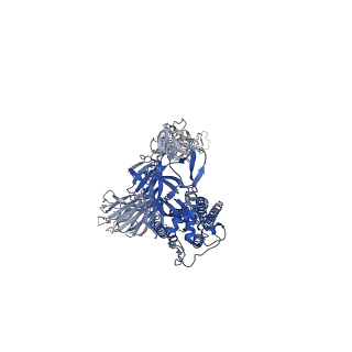 34408_8h01_B_v1-0
SARS-CoV-2 Omicron BA.1 Spike glycoprotein in complex with rabbit monoclonal antibody 1H1 Fab in class 2 conformation
