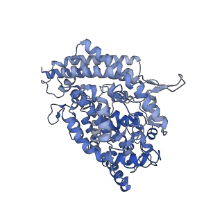 34409_8h06_A_v1-1
Cryo-EM structure of SARS-CoV-2 Omicron BA.4/5 RBD in complex with human ACE2 (local refinement)