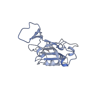 34409_8h06_B_v1-1
Cryo-EM structure of SARS-CoV-2 Omicron BA.4/5 RBD in complex with human ACE2 (local refinement)