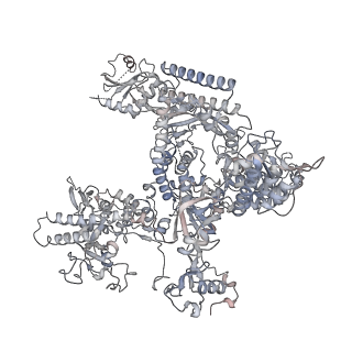 34415_8h0v_A_v1-0
RNA polymerase II transcribing a chromatosome (type I)