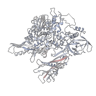 34415_8h0v_B_v1-0
RNA polymerase II transcribing a chromatosome (type I)