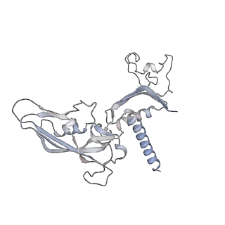 34415_8h0v_C_v1-0
RNA polymerase II transcribing a chromatosome (type I)