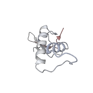 34415_8h0v_F_v1-0
RNA polymerase II transcribing a chromatosome (type I)