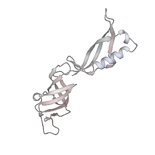 34415_8h0v_G_v1-0
RNA polymerase II transcribing a chromatosome (type I)
