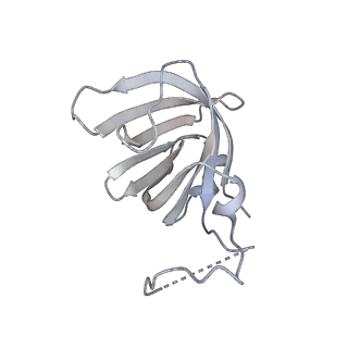34415_8h0v_H_v1-0
RNA polymerase II transcribing a chromatosome (type I)