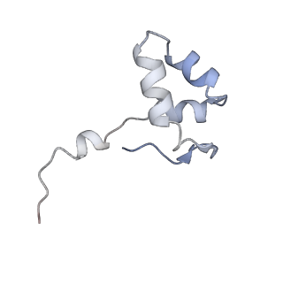 34415_8h0v_J_v1-0
RNA polymerase II transcribing a chromatosome (type I)