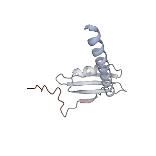 34415_8h0v_K_v1-0
RNA polymerase II transcribing a chromatosome (type I)