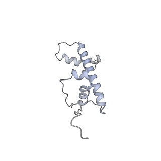 34415_8h0v_c_v1-0
RNA polymerase II transcribing a chromatosome (type I)