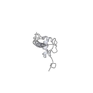 34415_8h0v_g_v1-0
RNA polymerase II transcribing a chromatosome (type I)