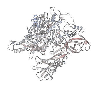 34416_8h0w_B_v1-0
RNA polymerase II transcribing a chromatosome (type II)