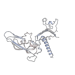 34416_8h0w_C_v1-0
RNA polymerase II transcribing a chromatosome (type II)