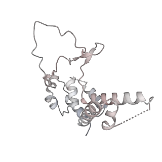 34416_8h0w_D_v1-0
RNA polymerase II transcribing a chromatosome (type II)