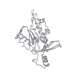34416_8h0w_E_v1-0
RNA polymerase II transcribing a chromatosome (type II)