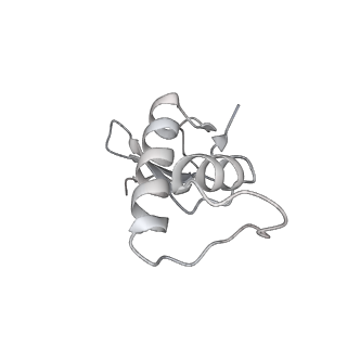 34416_8h0w_F_v1-0
RNA polymerase II transcribing a chromatosome (type II)