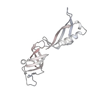 34416_8h0w_G_v1-0
RNA polymerase II transcribing a chromatosome (type II)
