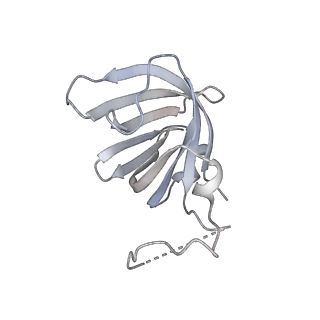 34416_8h0w_H_v1-0
RNA polymerase II transcribing a chromatosome (type II)