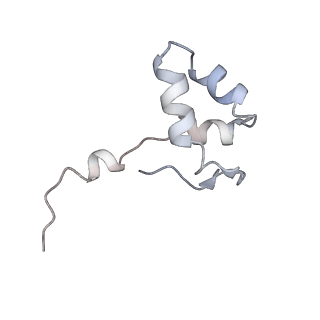 34416_8h0w_J_v1-0
RNA polymerase II transcribing a chromatosome (type II)