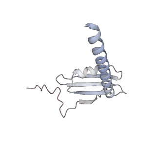 34416_8h0w_K_v1-0
RNA polymerase II transcribing a chromatosome (type II)