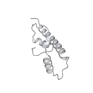 34416_8h0w_b_v1-0
RNA polymerase II transcribing a chromatosome (type II)
