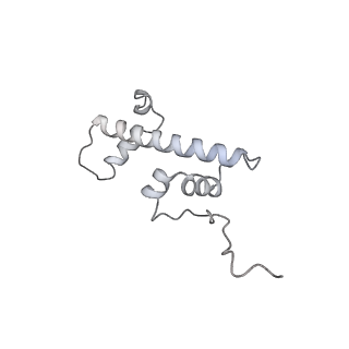 34416_8h0w_c_v1-0
RNA polymerase II transcribing a chromatosome (type II)